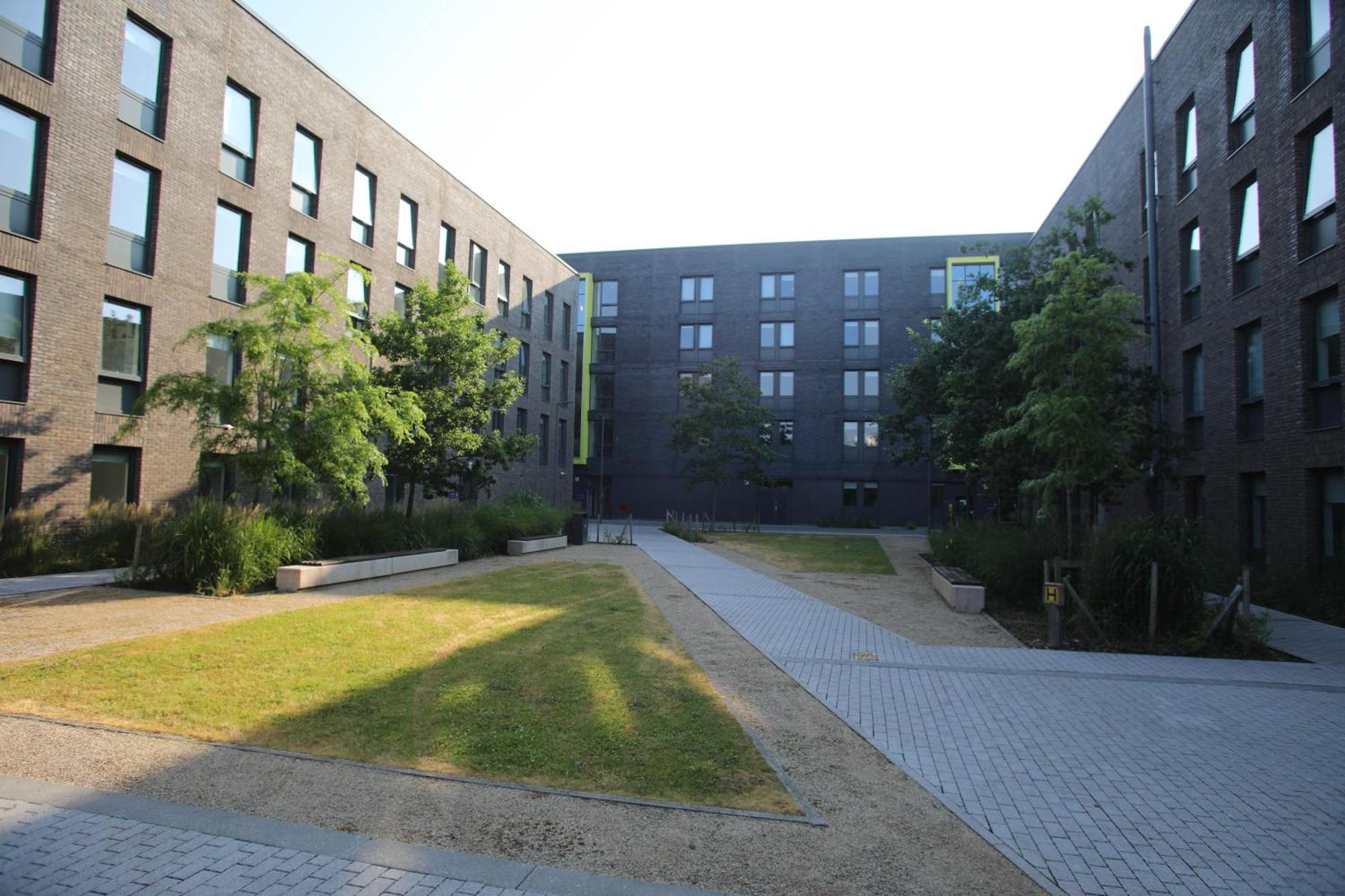 Goldcrest Village Rooms University Of Голуэй Экстерьер фото